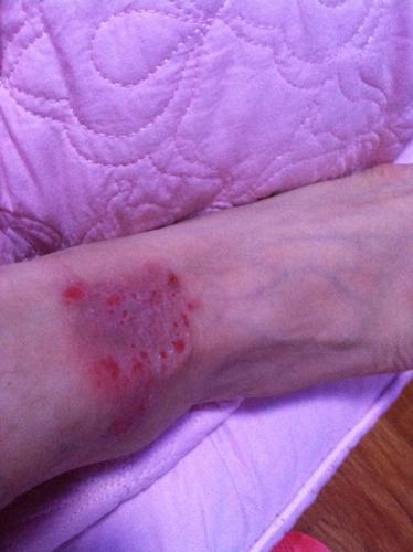 steam喜加一 回合制策略佳作骑士传奇免费领取‘熊猫体育’(图1) xiongmao体育