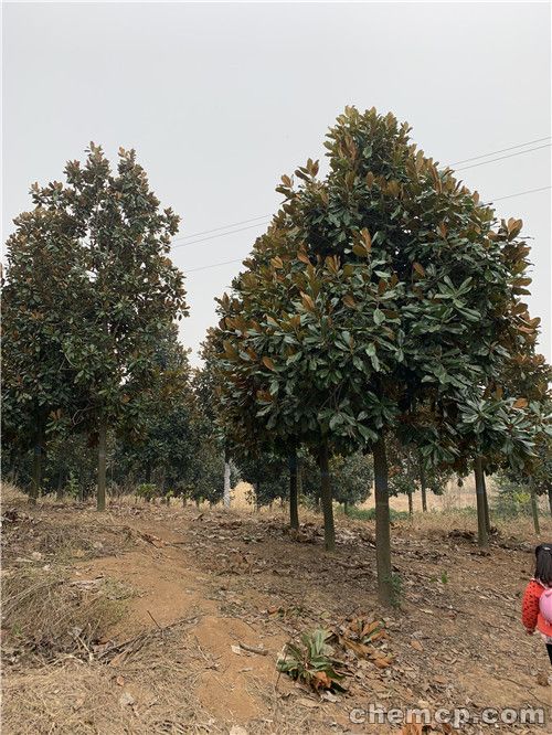 “熊猫体育”郭川失踪已经一个月 是我们永远无法忘却的牵念(图1) panda sports