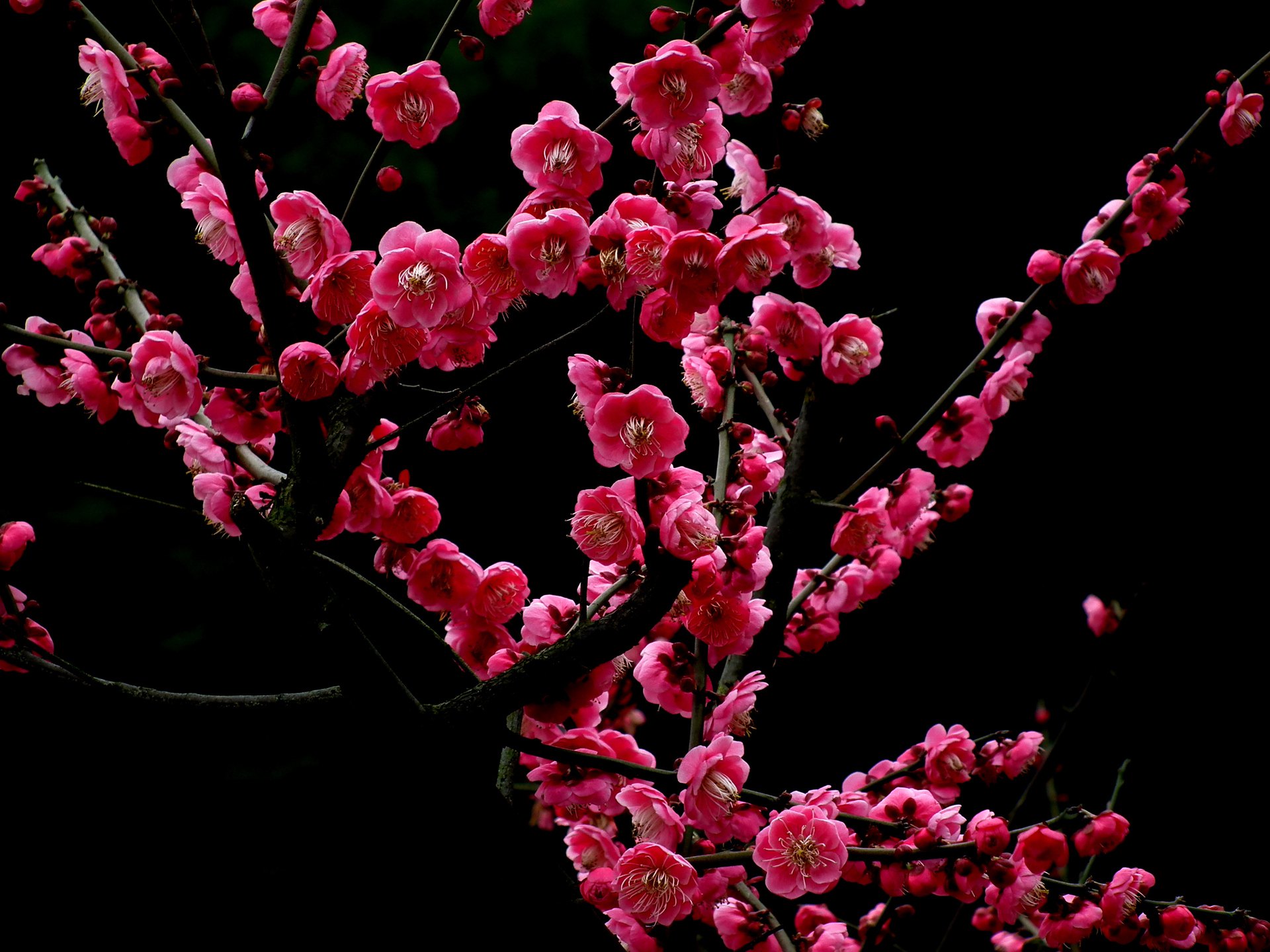 2019年3月23号lol出现预料之外的错误怎么解决“熊猫体育”(图2) panda sports