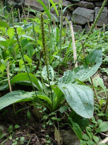 《海贼王:燃烧热血》最新宣传片 马林福特霸气登场【xiongmao体育】(图1) panda sports