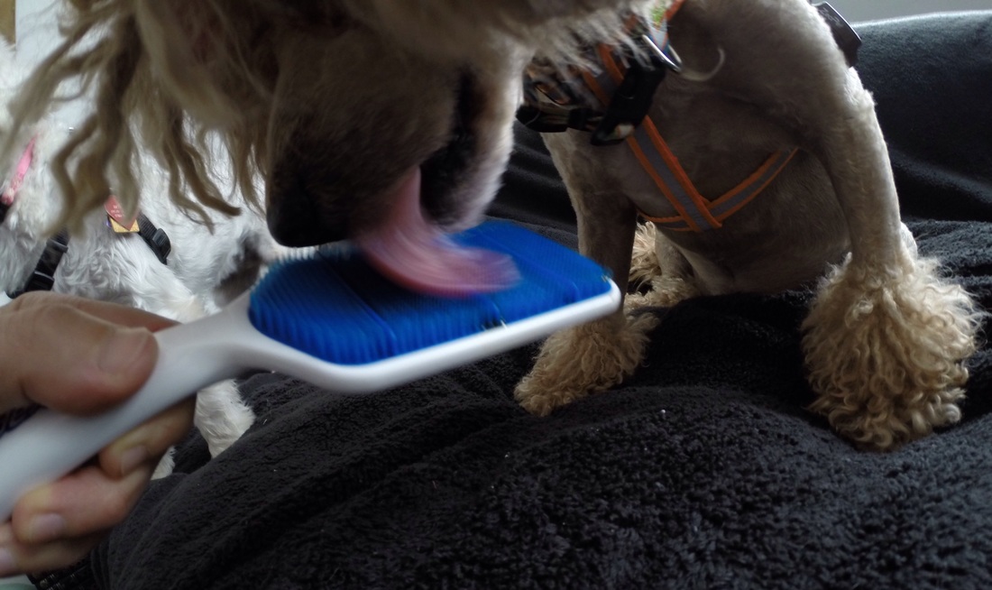 【panda sports】开拓者与麦科勒姆达成3年1亿提前续约(图3) 熊猫体育