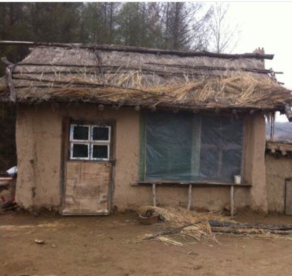 xiongmao体育_张玉宁有望复出战恒大(图2) 熊猫体育