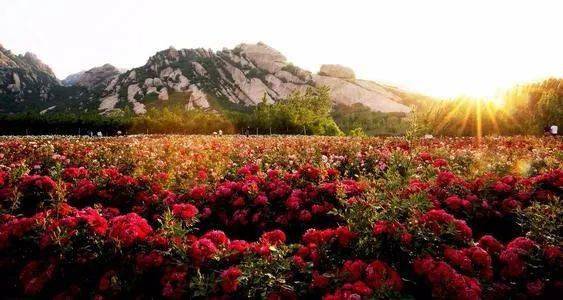 男子有了这些体现 女人就别再联系了【panda sports】(图6)
男子有了这些体现 女人就别再联系了【panda sports】(图6)