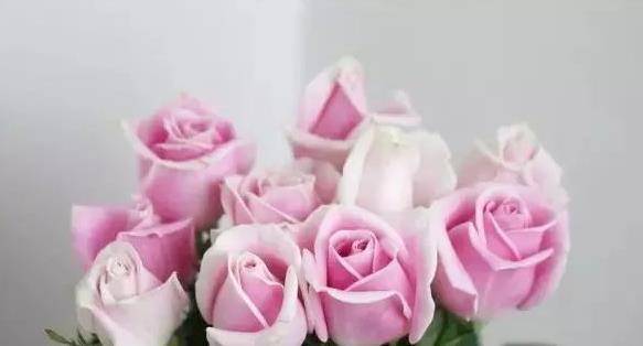 panda sports_
在外雷厉流行 资助丈夫赴汤蹈火;在家相夫教子的生肖女 有你吗(图1) panda sports_
在外雷厉流行 资助丈夫赴汤蹈火;在家相夫教子的生肖女 有你吗(图1)