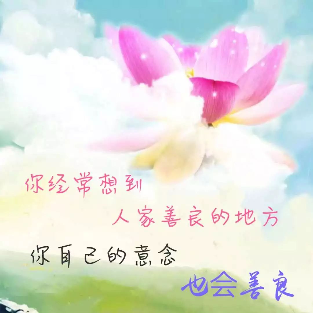 熊猫体育-CBDL球票购置看这里(图3) xiongmao体育