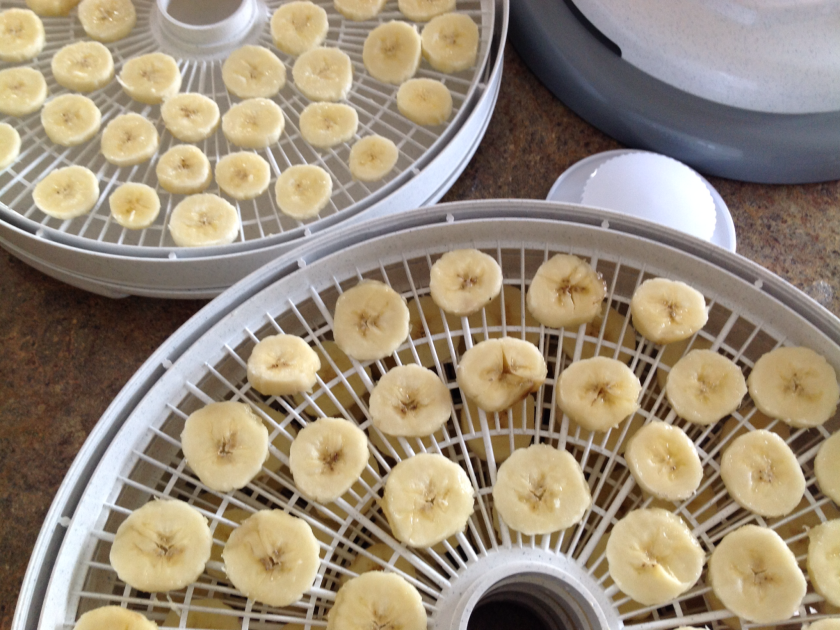 《陈情令》首曝剧照 肖战王一博上演兄弟情:xiongmao体育(图1) 熊猫体育