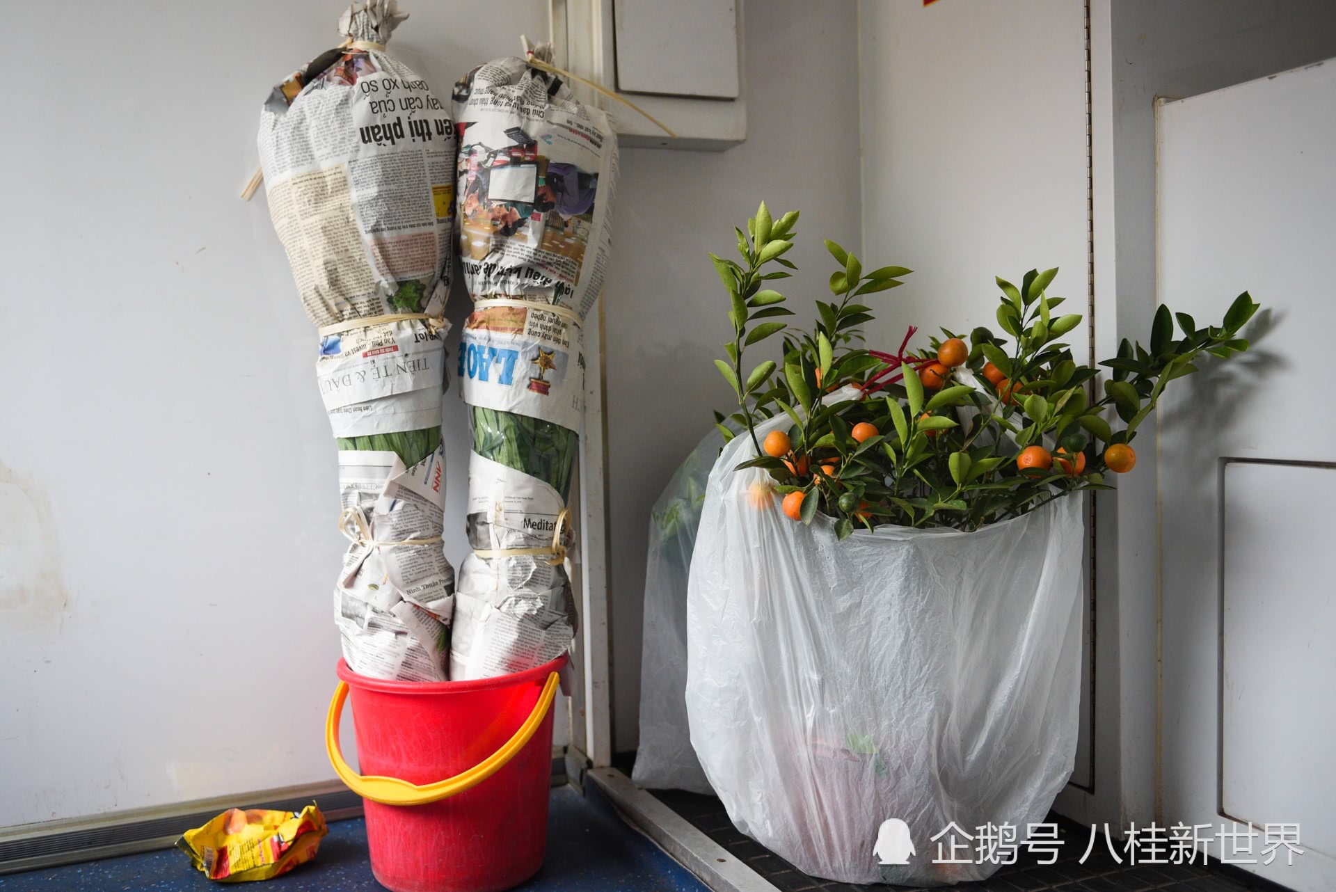 《神探柯晨》开播 柳小海演绎“暴躁”督查【panda sports】(图4) panda sports