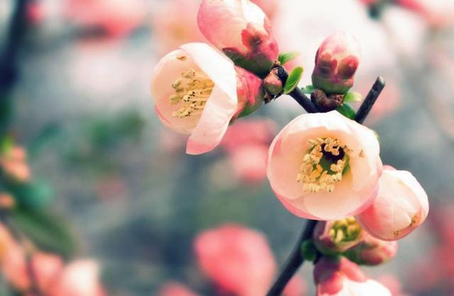 熊猫体育：
8月11号开始干什么都赚钱 恋爱财运双双到来的生肖(图2)