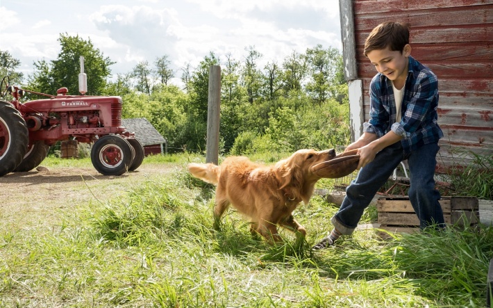 熊猫体育:索尼PS巴西分部:《守望先锋2》将在2020年内发售(图4) 熊猫体育