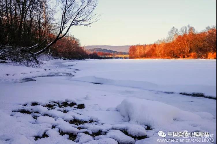 panda sports_台湾2D像素横版弹幕游戏《拉比哩比》2月上旬发售(图3) 熊猫体育