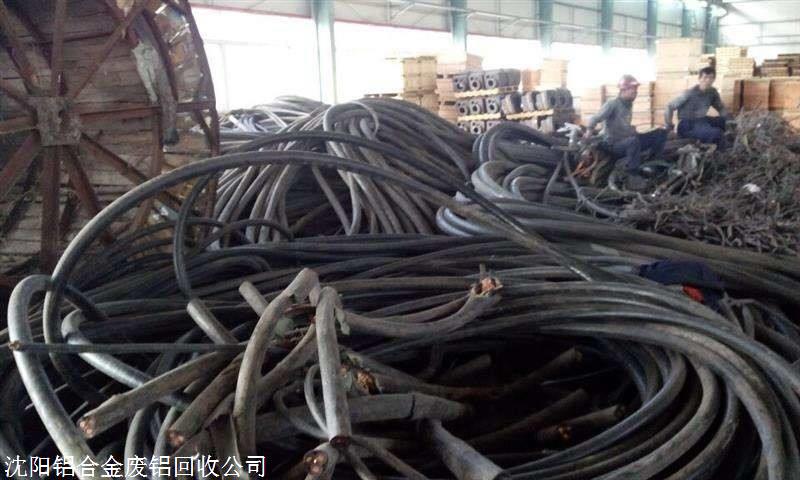 panda sports|《请和男护士恋爱吧》:学会选择是年轻人的生活哲学(图2) 熊猫体育