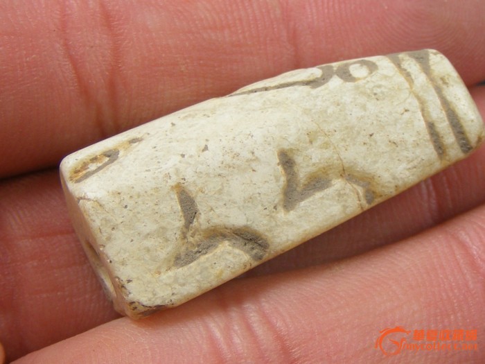 xiongmao体育