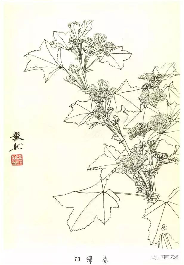 熊猫体育