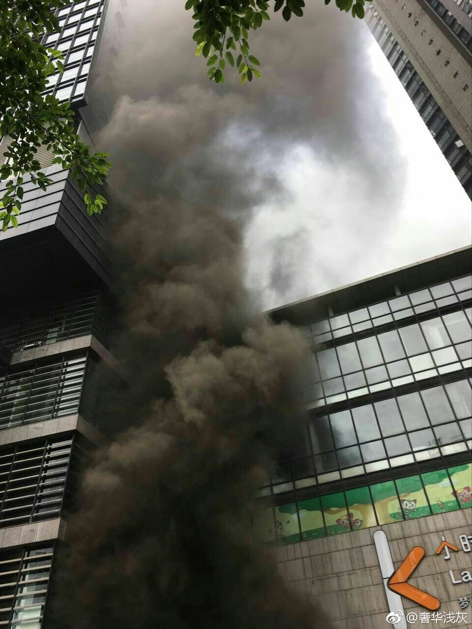 xiongmao体育