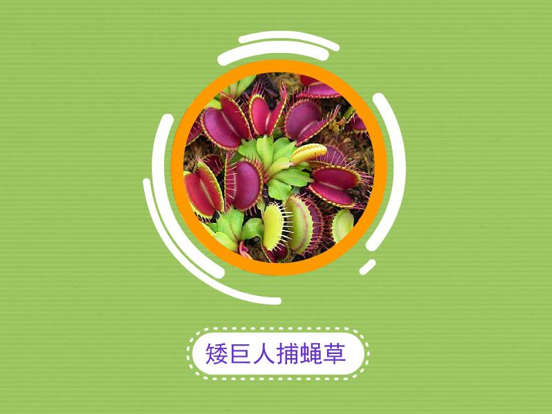 xiongmao体育
